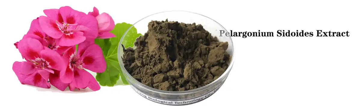 Pelargonium Sidoides Extract.jpg